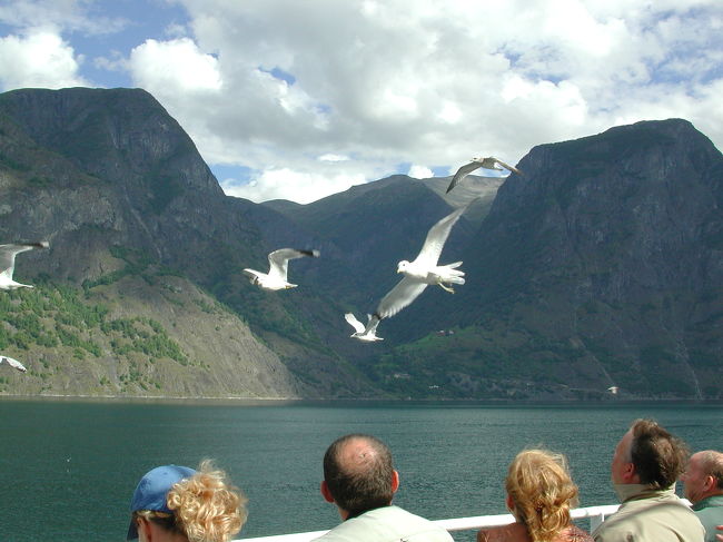 *ﾌｨﾖﾙﾄﾞ進攻中*<br />うっとうしいカモメ