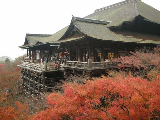 天気はあまり良くなかったのですが、紅葉はとてもきれいでした。