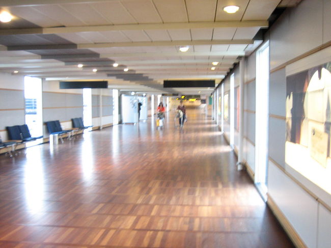 コペンハーゲン・カストロップ空港に到着！<br />床がフローリングだ！と、意味もなく大興奮。<br /><br />今日はストックホルムまで行くので、また国際線に乗ります。<br />コペンで入国審査をします。<br />ストックホルムでの入国審査はありません。<br /><br />二時間ほど時間があったので、<br />空港内で食事をしたり、買い物をしたりしました。<br />サーモンハウスというお店でサーモンを頂く。大きくておいしい〜！おススメです。空港内のレストランでビールを飲んでいる人をたくさん見かけたのですが、やたらグラスが大きい！！中ジョッキより大きいかも？<br /><br />空港内の換金所で面倒だったので、スウェーデンクローネに両替してしまおうとしたら、一度デンマーククローネ(DKK)に換金してから、スウェーデンクローネ(SEK)にするから、ちょいと損だよ両替所のお姉さんに言われる。<br /><br />SEK一文無しでスウェーデンに向かうことに。<br />むこうの空港にも両替所があるだろうし、まぁいいか（笑）