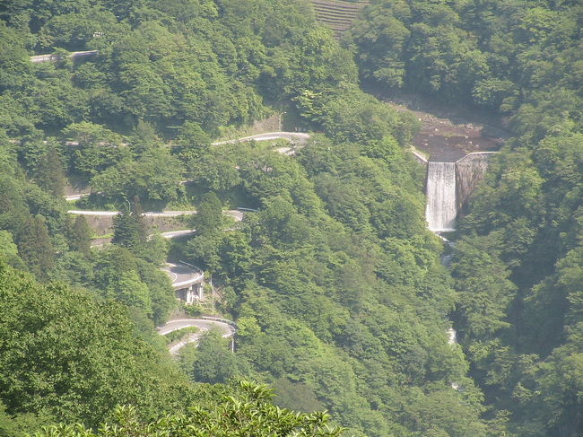 茶ノ木平から見たいろは坂です。