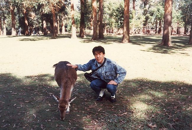 カンガルーも人になれています。