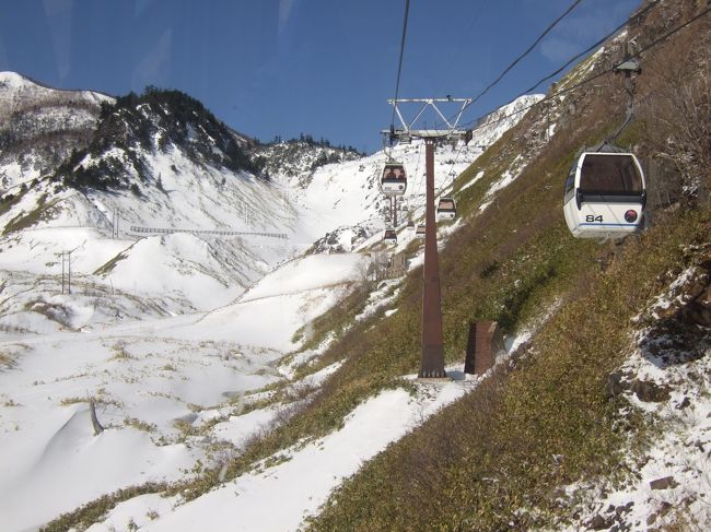 ロープウェイの下でも雪がぜんぜんない...