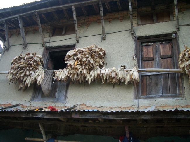 納屋の軒先にに干されたとうもろこしが<br />　農村の生活を物語ります。