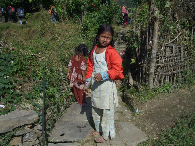 こちらを向いてくれました。