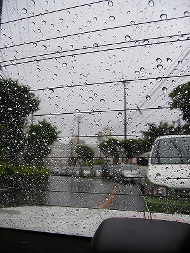 のんびりとした休日 In ナハ 1日目 春の雨と癒し編 沖縄県の旅行記 ブログ By ニーコさん フォートラベル