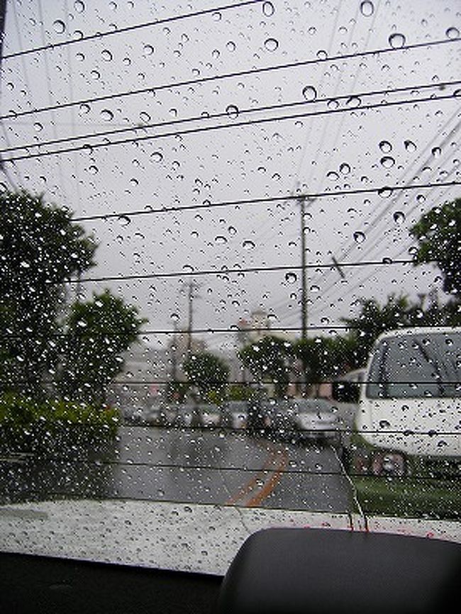 のんびりとした休日 In ナハ 1日目 春の雨と癒し編 沖縄県の旅行記 ブログ By ニーコさん フォートラベル のんびりとした休日 In ナハ 1日目 春の雨と癒し編 沖縄県の旅行記 ブログ By ニーコさん フォートラベル