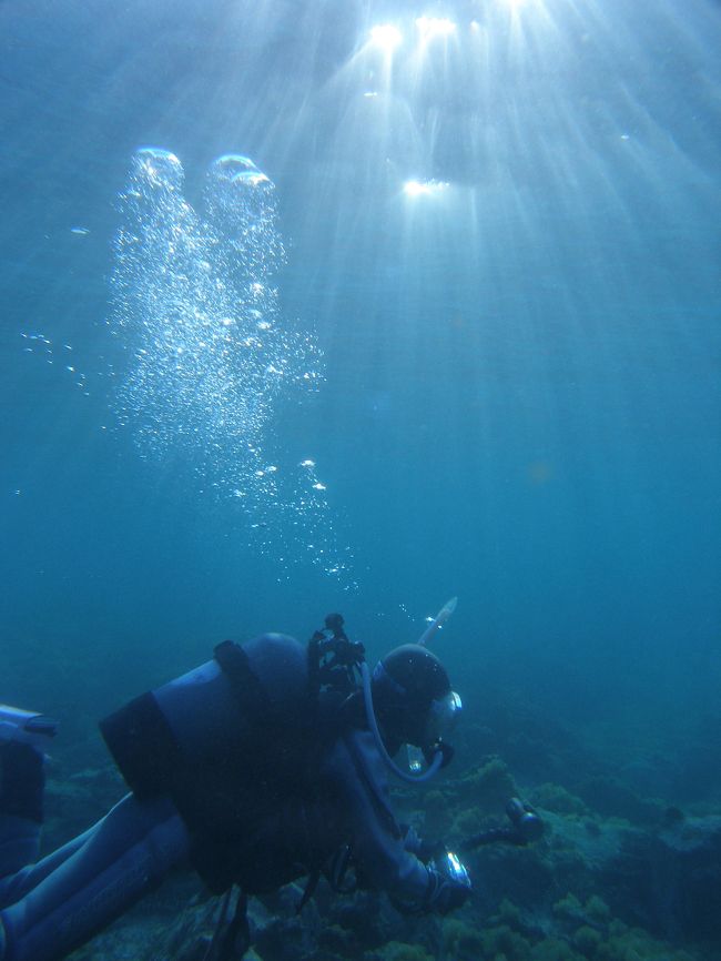 日曜の早朝ダイビング。<br /><br />早朝は透明度、15mぐらいありました。