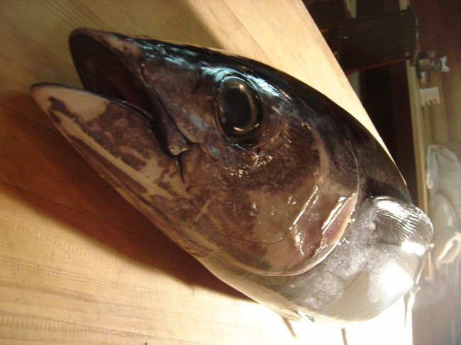 マグロ一匹まるごと！