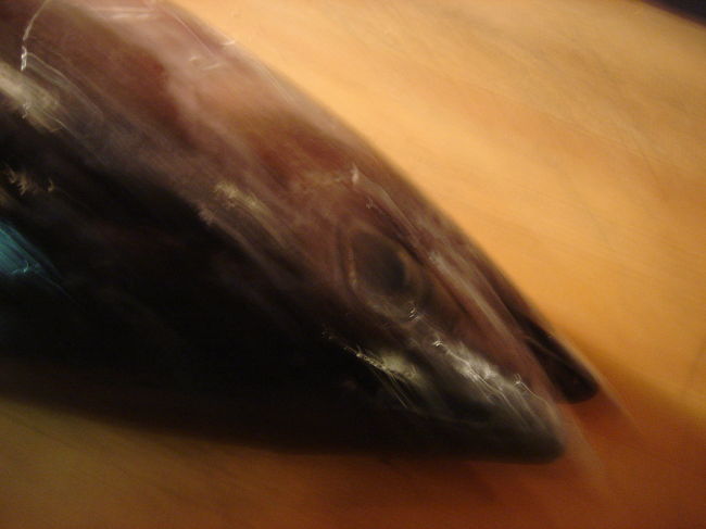 動きを出してみました。