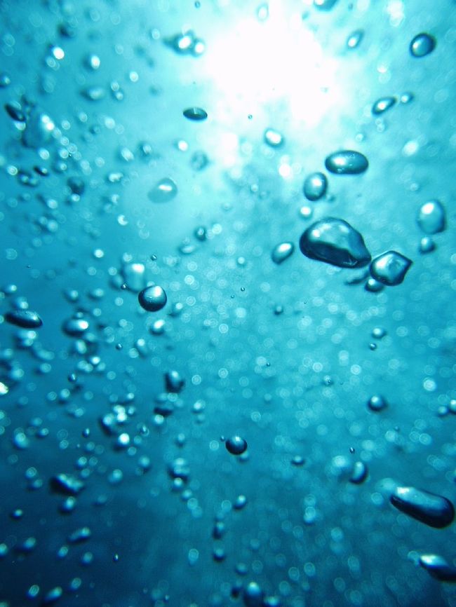 以下の二枚は、奥さんがμ-40で撮ったものです。<br /><br />泡。<br /><br />