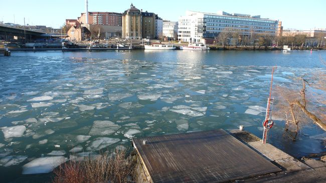 海にはまだ氷が浮いてます。
