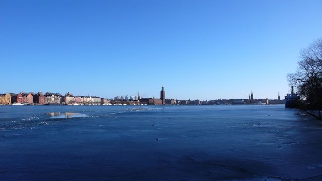 遠くに市庁舎が見えます。