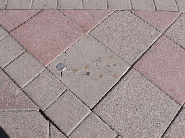 なんだかわからないけどおもしろかった舗装。