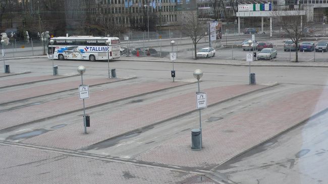 駐車場までアザラシ。