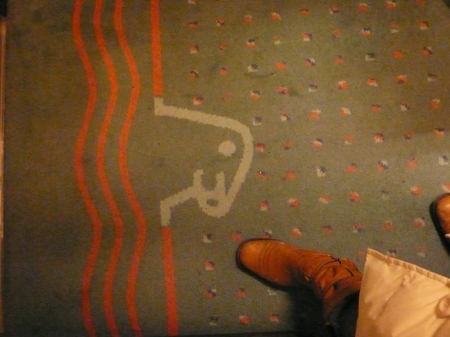 キャビンの中のカーペットまでアザラシ。