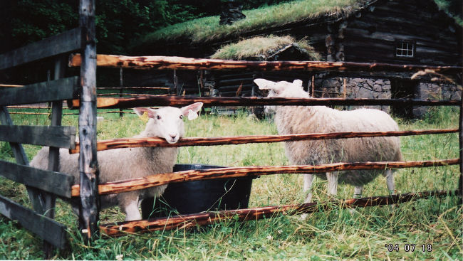 　名残惜しげに私を眺める。