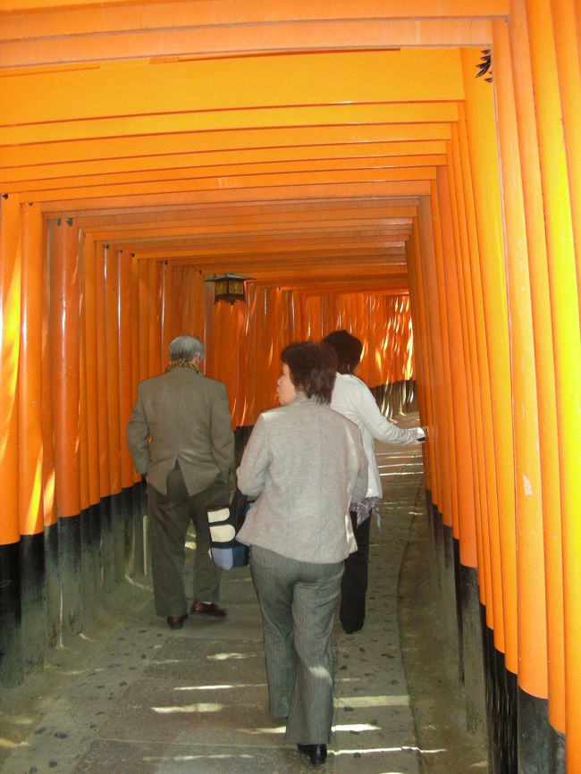 これが大きな間違い。<br />伏見稲荷はかなり広大な敷地があり、全部まともに周ると２時間以上！かかるそうです。
