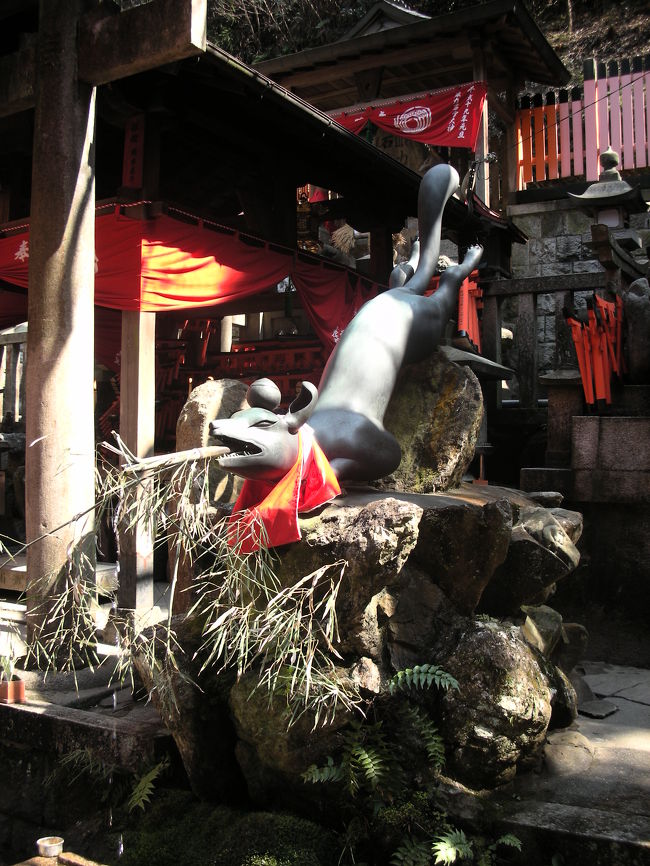 途中にいたお狐さま。<br />よく神社で見かける手水舎の竜がここでは狐でした。<br />さすがお稲荷さん。