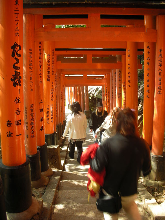 結局全部は回れず、途中で帰ってきてしまいました。