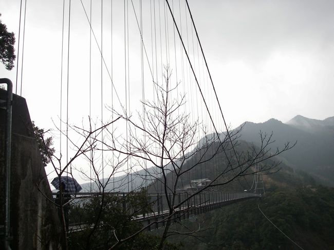 綾の照葉大吊橋に到着。雨が降っていて残念。