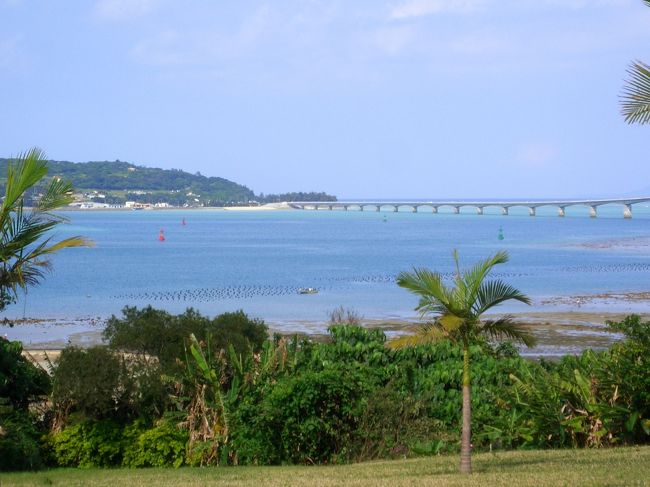 朝にセントレアを出て2時間。<br />那覇空港に到着。<br />そのままレンタカーを借りて、<br />高速を使って北部へ。<br />途中でお昼に寄ったお店の庭から、<br />目指す古宇利島がきれいに見えました。