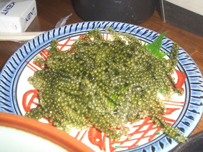 海ぶどう。<br />大好き！<br />潮の味がする・