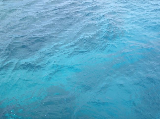 １本目で勢いづき、<br />お休みをするはずだったショップの人にお願いし、<br />翌日も潜ることに決定。<br />２本目はドリフトダイビング。<br />あ〜ドキドキした。