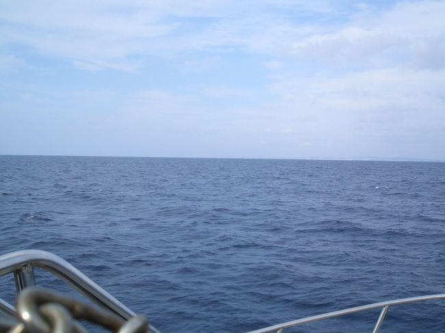 ３本目は潜らずに船の上でのんびり。<br />帰りにはクジラを観ることができた。<br />遠くに一瞬現れただけなので写真にはとれず･･･<br />