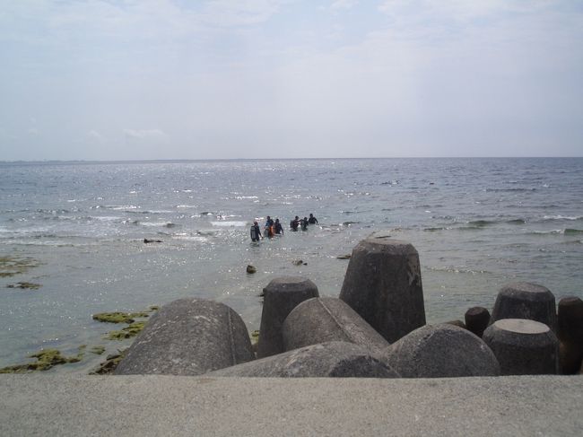 私も４年前ここで海洋実習をして<br />ライセンスを取りました。<br />なつかしいー。