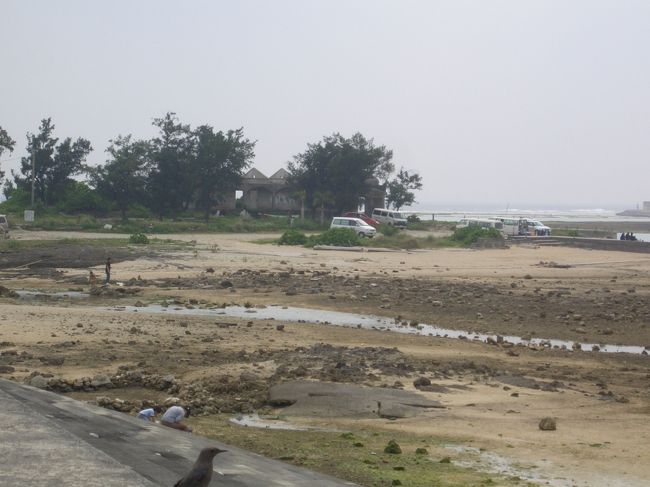 島を周って帰る時、<br />「あれ？ここってー･･･」<br />実はプール講習（プールじゃないけど）で<br />来たとこだった!!!<br />島に来てたんだー。<br />緊張してて何にも覚えてなかったよー。<br />今日もたくさん講習に来てました。<br />