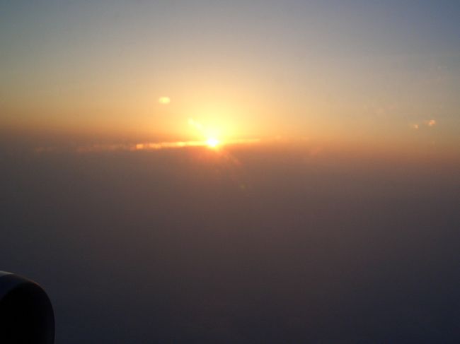 後ろ髪引かれつつ沖縄を後に･･･<br />世界遺産はいっこも見なかったけど、<br />ゆる〜い感じでとっても楽しかったです。<br />また潜りに来れるといいな。