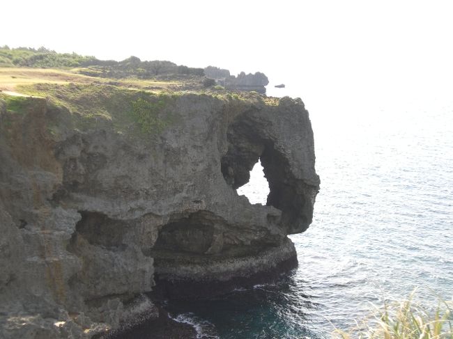 石灰岩が波で浸食されて、面白い形ができました。<br /><br />万座毛のシンボルである象の鼻を連想させる隆起サンゴ。1726年（享保11）、ここに立ち寄った琉球王尚敬が、「万人が座するに足る毛（野原）」と賞賛した景勝。