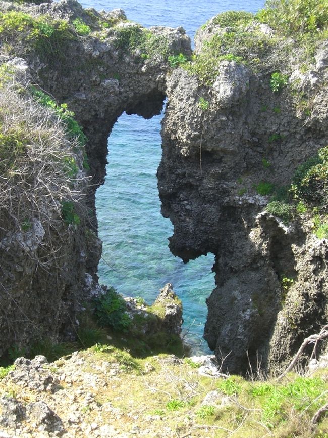 自然の波は、名彫刻家です。<br /><br />このとき気付きました。<br />あまりに光が強くて写真が白くなるときは、<br />感度を50に落とせばいいんですね。<br /><br />海がこんなにきれいに写ります。<br />なんで象岩をとりに戻らなかったのかしら。<br />すぐ横なのに....