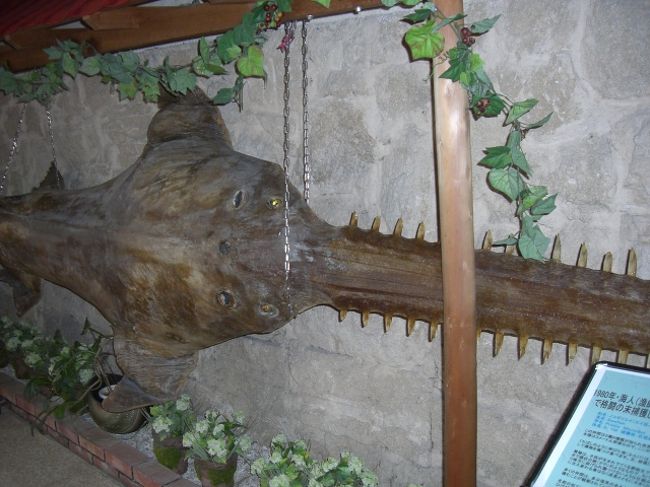 木曜日に夜9時ごろ大浴場にいくと、<br />すごく混んでいたんで、部屋のシャワーで<br />済ませてしまいました。<br />翌日は6時ごろにいくと、2人だけしかいなくて<br />出る頃には一人だけでした。<br /><br />大浴場に行く途中、<br />のこぎりザメの剥製がありました。<br />本館の写真は“あえて”撮ってません。<br /><br />素泊まりだったので、800円という朝食バイキング<br />（ビュッフェじゃなくてバイキング）を見に行って<br />みたら、飲み物が水とコーヒーしかなくて、<br />フルーツは缶詰のフルーツだけだったので<br />やめておきました。<br />翌日はコンビニで朝食を調達。