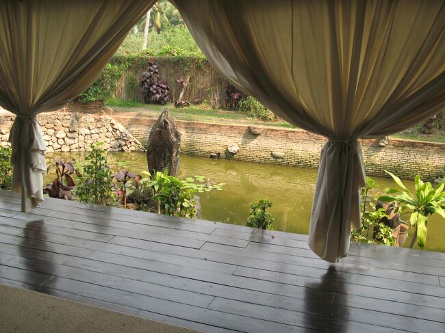 施術後は、池に面した東屋で、ホットジンジャーティをいただきました。。。