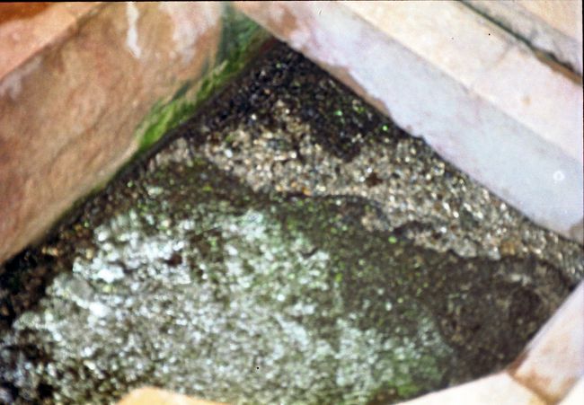 モーゼの泉　この水は飲むことが出来る。