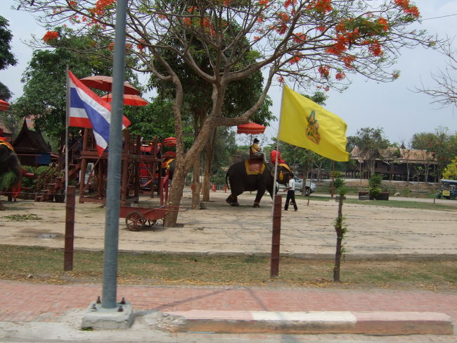 そして次は、アユタヤエレファントキャンプにて、象乗り体験（初）しました☆