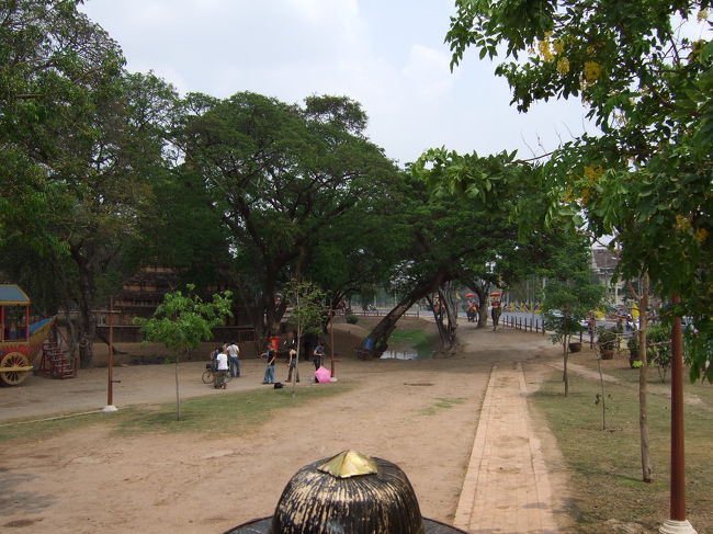 象の上からの眺め。<br />思ったより高いです！