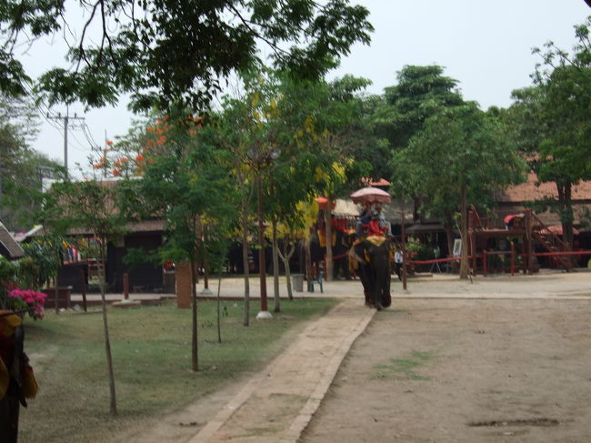 しかも思ったより揺れるので、酔ってしまいそうでしたw