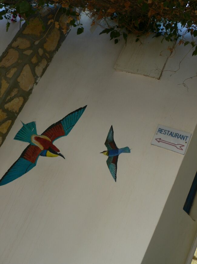 HOTEL20MARSはチュニジアの滞在で一番快適なホテルだった。<br />中庭があって開放的だしスタッフも親切。<br />レストラン横にはこんな絵も描いてあった。