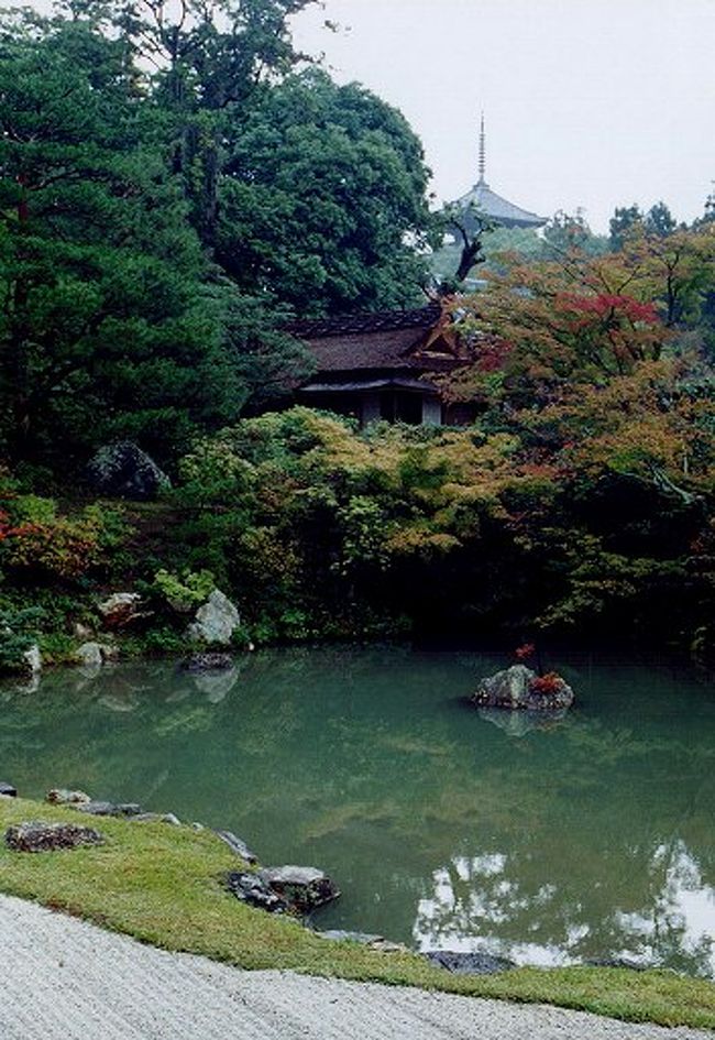 仁和寺・宸殿の北庭<br />　真言宗御室派の総本山．