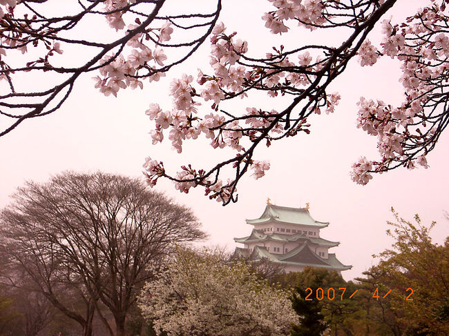 東の御門より入城したところから望む。<br />大人￥500、午前9時から4時半閉城。