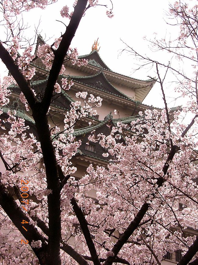 金シャチの天守は、昭和20年5月の空襲で焼失。<br />再建なった天守は、「エレベーターで登れる」お城です。