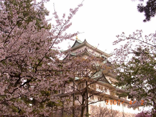 初代藩主徳川光友は、完成した名古屋城に3,4年居住したのち　東側に二の丸御殿というところを築き、そこに代々藩主が居住しました。<br /><br />大して天守閣を含めた対は本丸御殿を呼ばれ、<br />将軍家が上洛の際の居城としてがそのお役目だったのだとか。。<br /><br />明治になって兵場にするため取り壊された二の丸御殿には、今は庭園と茶室が。