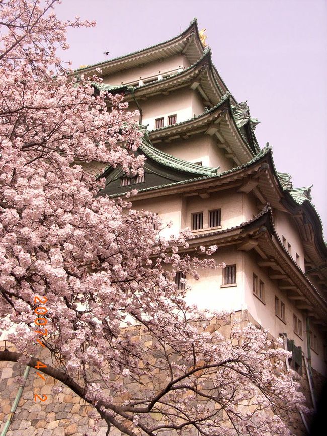 名古屋城の石垣は、上端は反っていて「加藤清正式」（正確な言い方ではありません）なんだそう。。