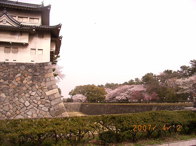 明治の濃尾大地震で石垣ごと崩れた西南の櫓。<br />宮内省により大正時代に普請されたので、鬼瓦に葵ではなく菊の御紋が。。