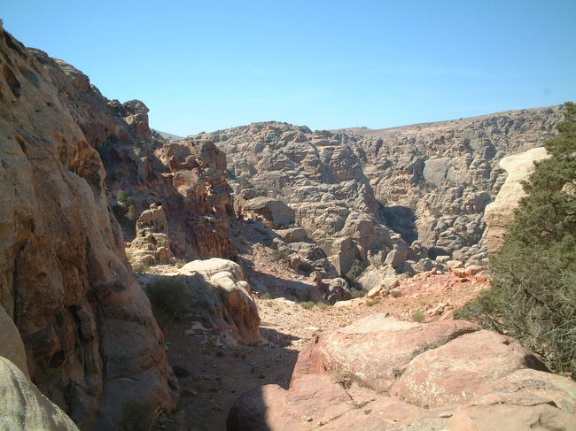 ・脇道　<br /><br />しばらく登ると、う〜ん、だんだん道じゃなくなってきたよーな。。。