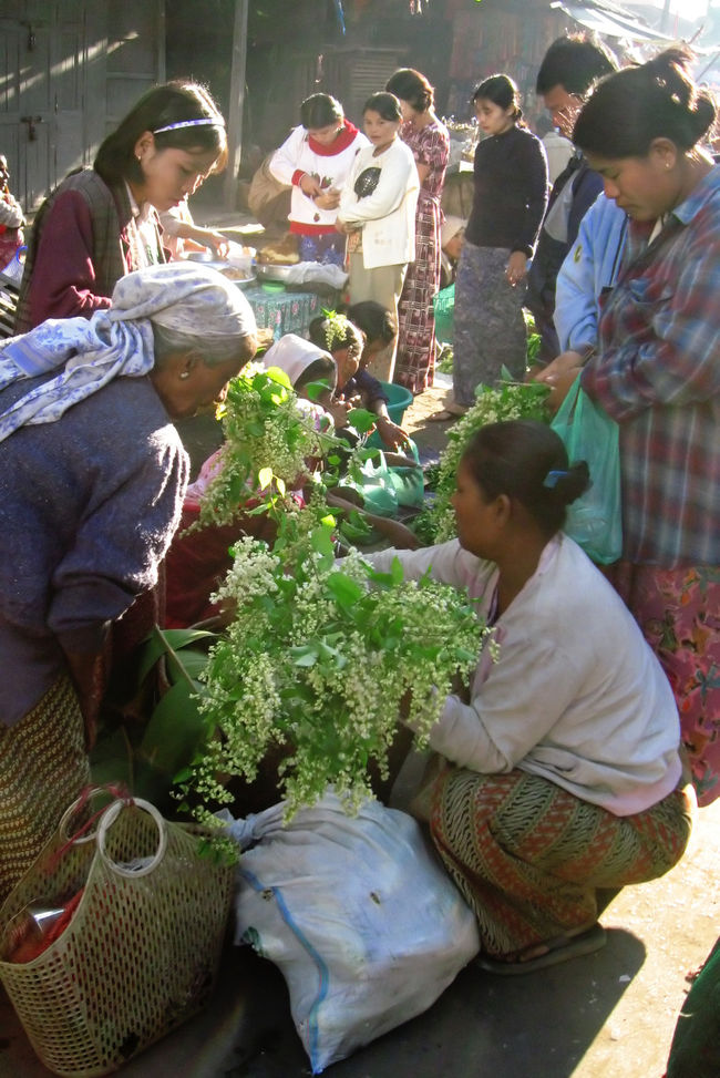 朝のシットウェーの市場。<br />『ヤカインの花』です。<br /><br />早朝に桟橋に向かったら、今日出航するはずのミャウー行きのガバメントボート(4$)は明日に変更と聞いて、びっくり。<br /><br />プライベートボートは10〜20$(誰を通して、いつ交渉するか、によって異なる)。<br /><br />シットウェーが気に入った僕は、とりあえずホテルに帰って二度寝。<br /><br />ちょっと疲れた。