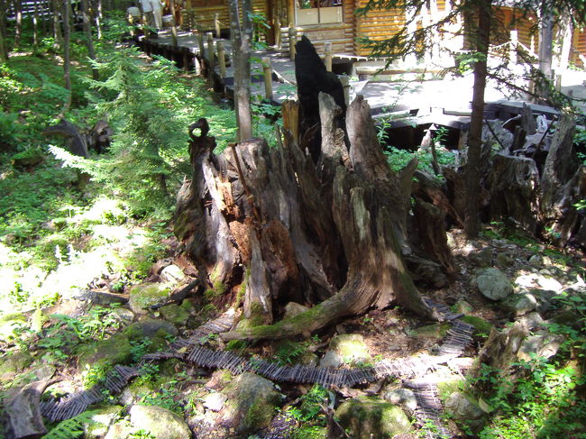 妖精が住んでいるらしいです。