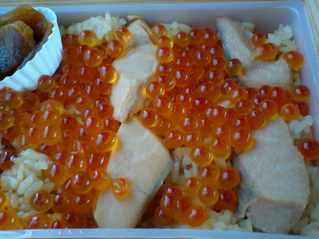 2006年9月21日　仙台 <br /><br />翌日は新幹線ではなく特急で上野まで。<br />ランチは仙台駅で購入した伯養軒の「阿武隈川　鮭はらこめし」弁当。鮭とイクラ（腹子）がたっぷりー。<br />鮭好きにはたまらない。<br />美味しかった☆<br /><br />帰りの特急内で遭遇した、かわいそうなハプニング。<br /><br />上野の一つ手前の駅のこと。<br />20歳前後のちょっとおしゃれがんばってる？なお兄さんが、降りていくのを見た。<br />で、またすぐにそのお兄さんは戻ってきた。<br /><br />なんだ？<br /><br />と思ってたら、少ししてまた降りて行った。<br />窓からそのお兄さんが見えた。ポケットを探っている様子。失くしものをしたみたい。<br /><br />で、ほんの少し後。<br /><br />小学生ぐらいの女の子が、何かを片手に持って通路を走ってきた。財布みたい。<br />窓の外のお兄さんに合図してる。彼も、気づいた。<br />で、二人でドアに向かおうとしたら、、<br /><br />列車が動き始めた。<br /><br />お兄さん走る。だけど、だけど、どうにもならない。<br />列車の窓は開かない。<br />女の子は既に私の視界にはいない。<br />お兄さんが「うわーっ」って表情でどうにもならないことを悟って走れなくなったのが見えた。<br /><br />どうなるんだろう。。。<br /><br />しばらくして、女の子が戻ってくるのが見えた。<br />財布を持っていたかはわからない。<br /><br />彼の財布は無事に上野駅には届けられただろうけど、何時間後に彼の手に戻ったかはわからない。<br /><br />かわいそうだし、もどかしいし、他人事だし、笑えないし、な出来事でした。